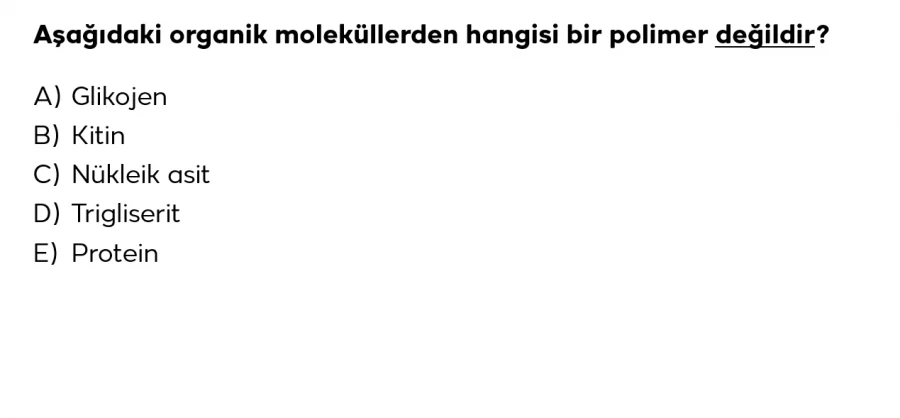 2024 TYT Biyoloji Soru 2 – Organik Moleküllerde Polimerlik Analizi | Bakırköy Eğitim Koçluğu Açıklamalı Yorumu