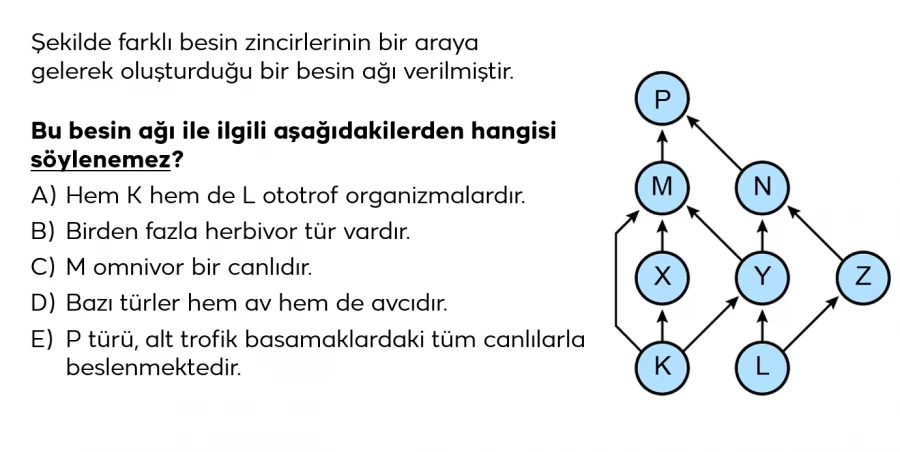 2024 TYT Biyoloji Soru 6 – Besin Ağı Yorumu ve Tropik İlişkiler | Bakırköy Özel Ders ve Eğitim Koçluğu Analizi